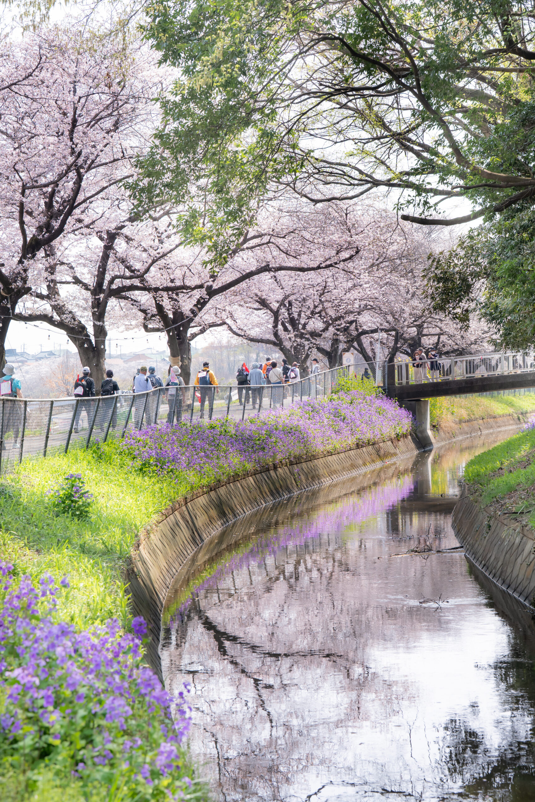 綺麗な景色と楽しい歩き